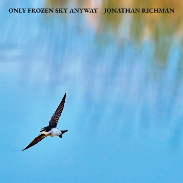 Only Frozen Sky Anyway