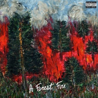 A Forest Fire - EP