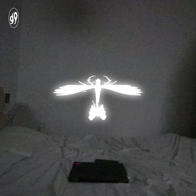 MOTH - EP