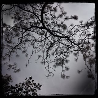 Treasure Of Stars (Streams Of Consciousness)