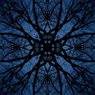 Memory Folds