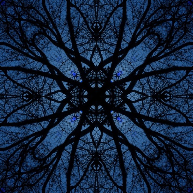 Memory Folds