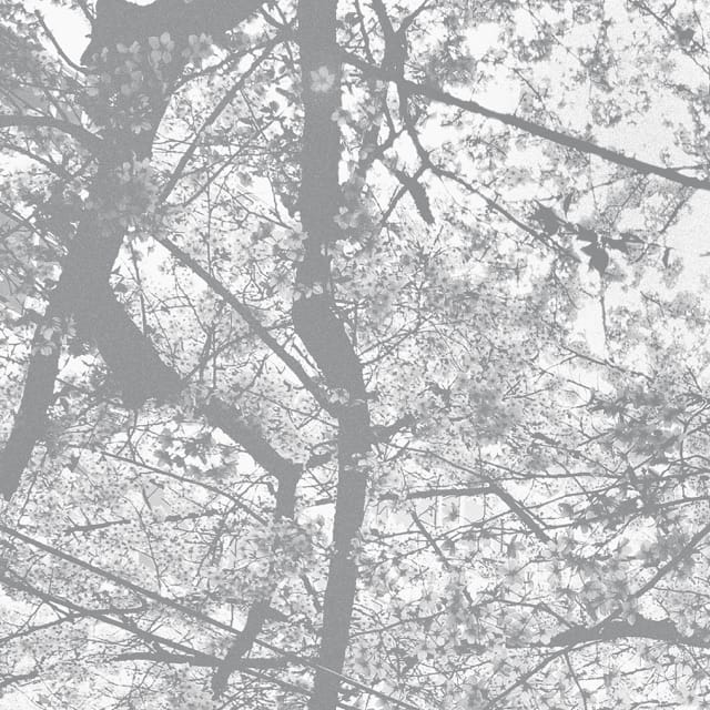 Obliteration Bliss