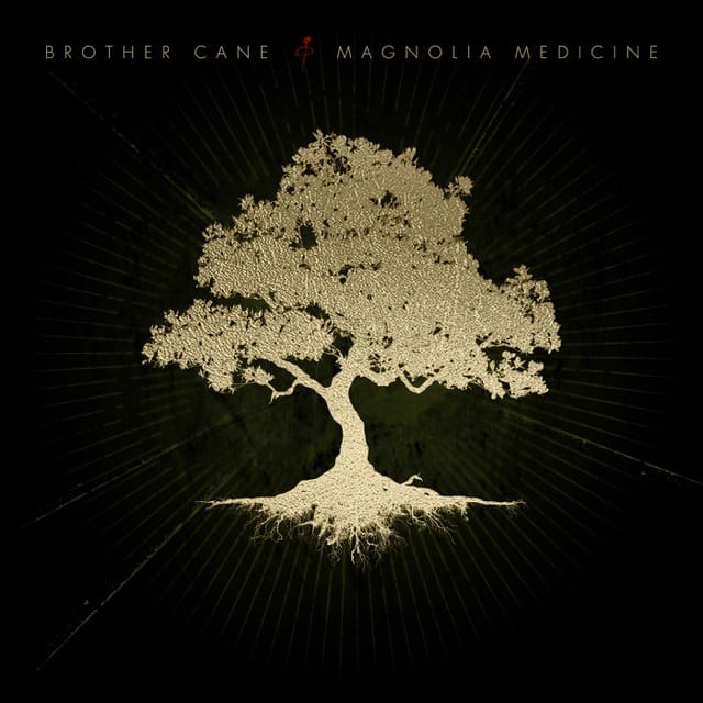 Magnolia Medicine