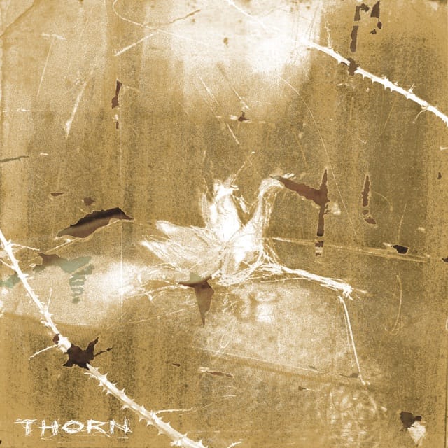 Thorn - Single