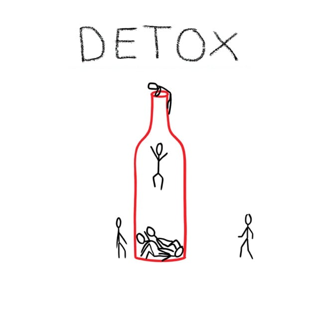 Detox - Single