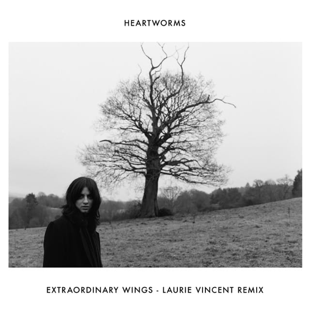 Extraordinary Wings (Laurie Vincent Remix) - Single