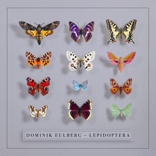 Lepidoptera