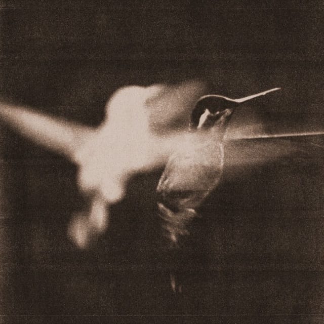 Nothing Left To Give - Single