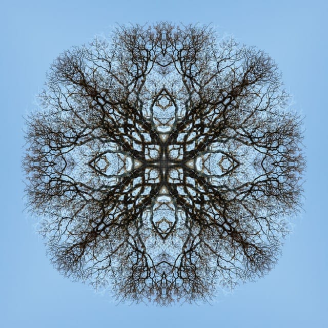 A Fading World