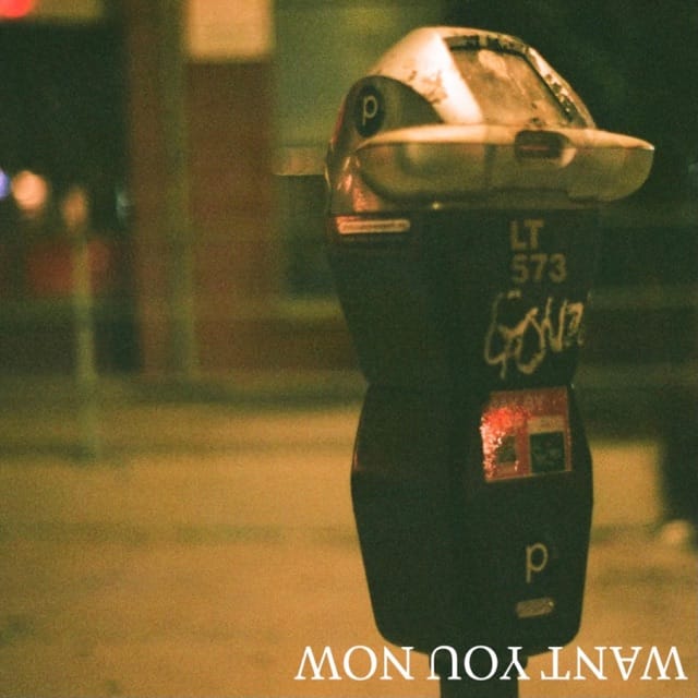 Want You Now - Single