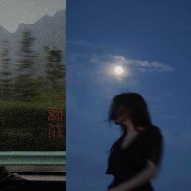 rotting with the moon - Single