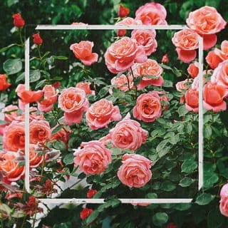 This Land - EP