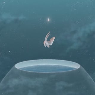 No Wind