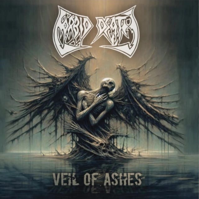 VEIL OF ASHES