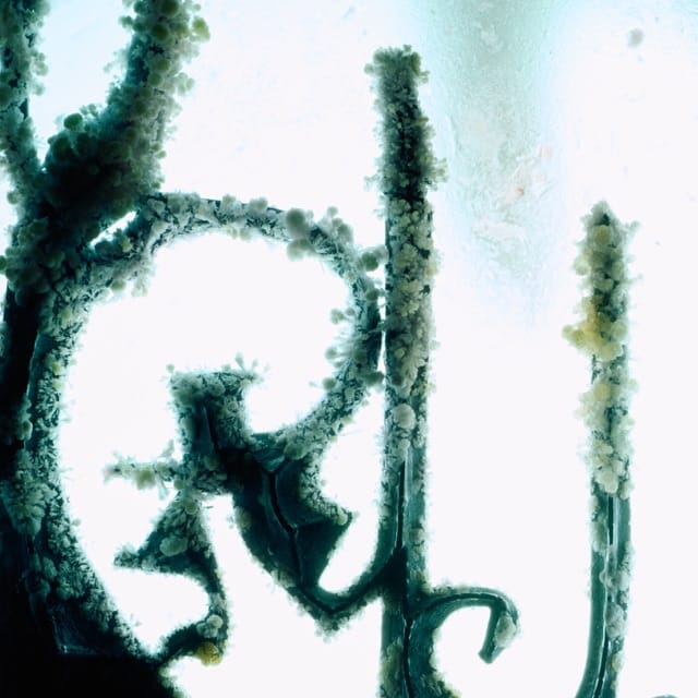 Cinderella (Olof Dreijer Remix) - Single