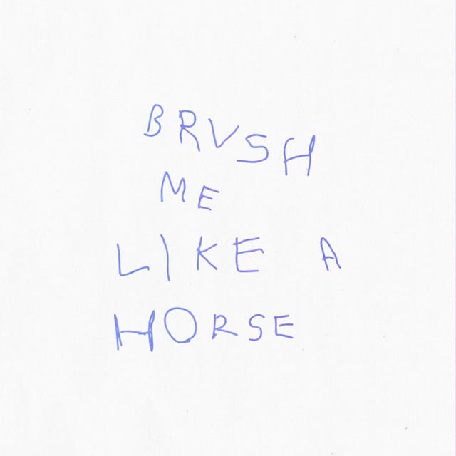 Brush Me Like A Horse - Single