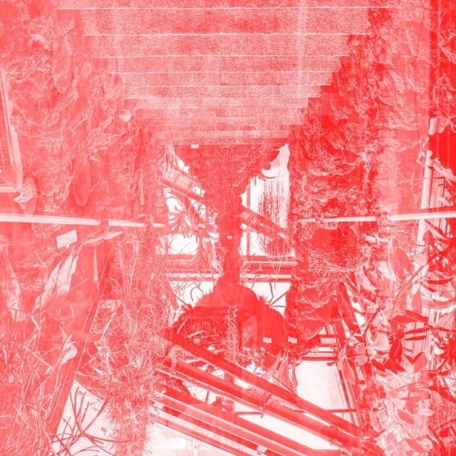 Diskomfort EP - EP