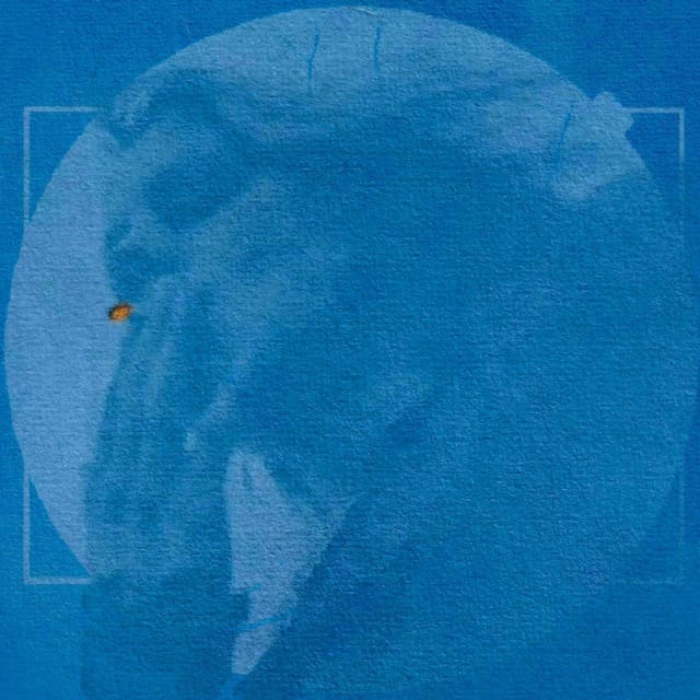 I Wake Up Slowly - Single