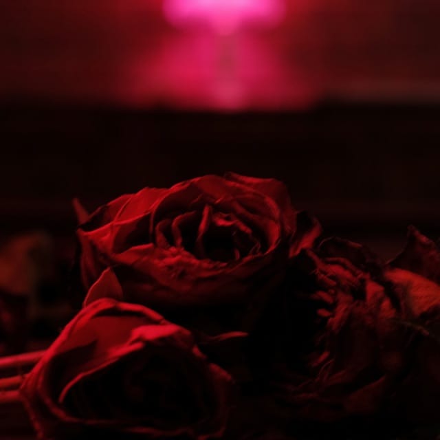 For All You Give - Single