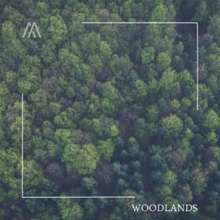 Woodlands