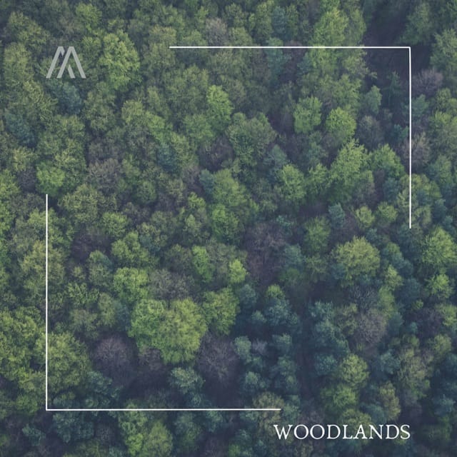 Woodlands