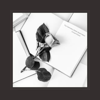 The Tortured Poets Department (The Anthology): Piano Instrumentals