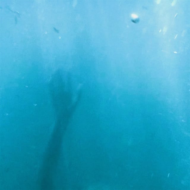 Sirens - Single