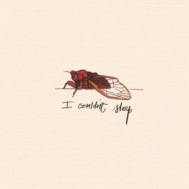 I Couldn't Sleep - Single