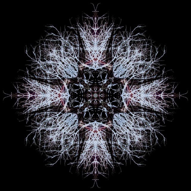 Woven In the Dark