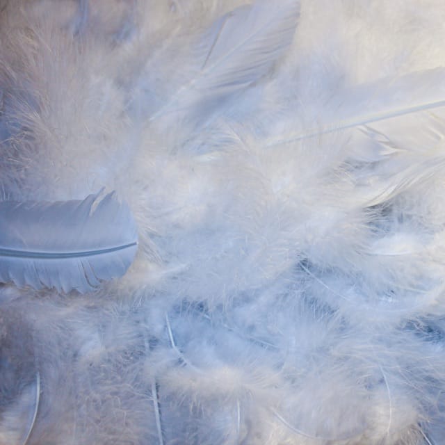 Neight Fictive (Jonathan Snipes of clipping Remix) [feat. clipping. & Jonathan Snipes] - Single