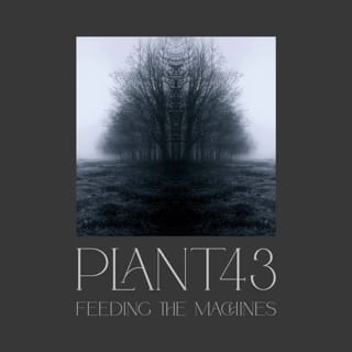 Feeding the Machines