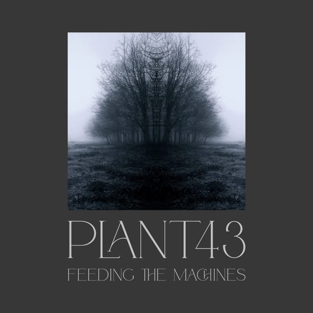 Feeding the Machines