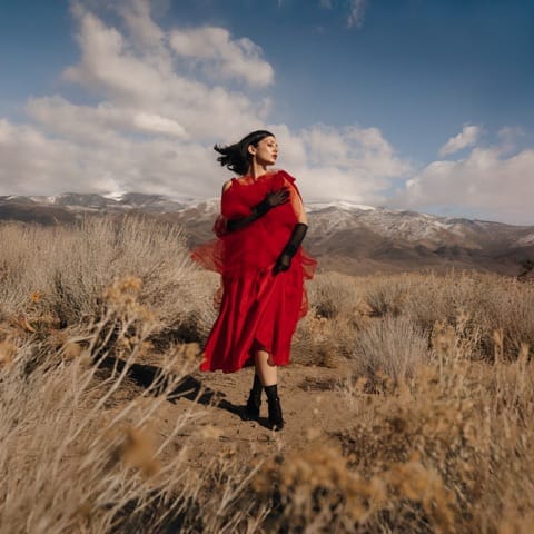 Ladybug - EP