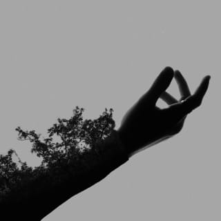 Fragility