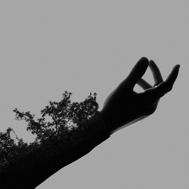 Fragility