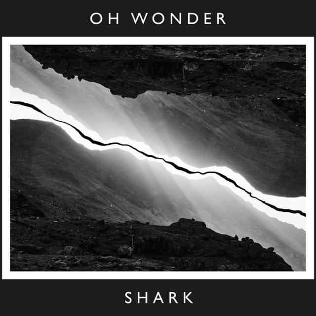 Shark (10 Years On) - Single