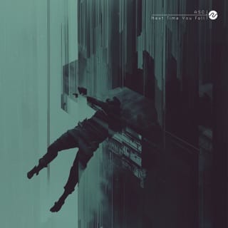 Next Time You Fall
