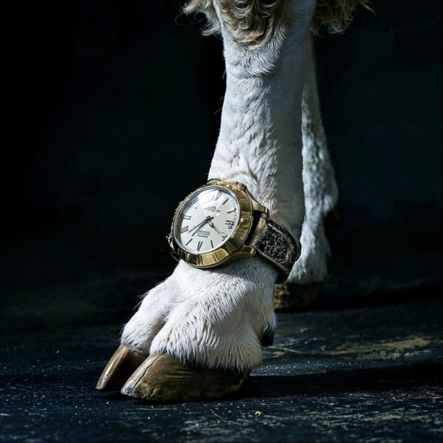 Wake Up, Pass Out - EP