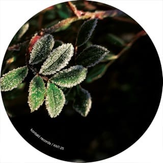 Lakeland Dubs - Single