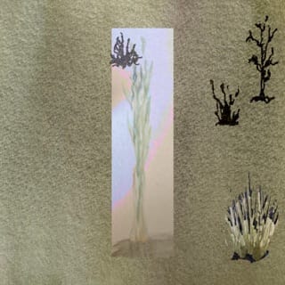 A Walk in the Grass - EP