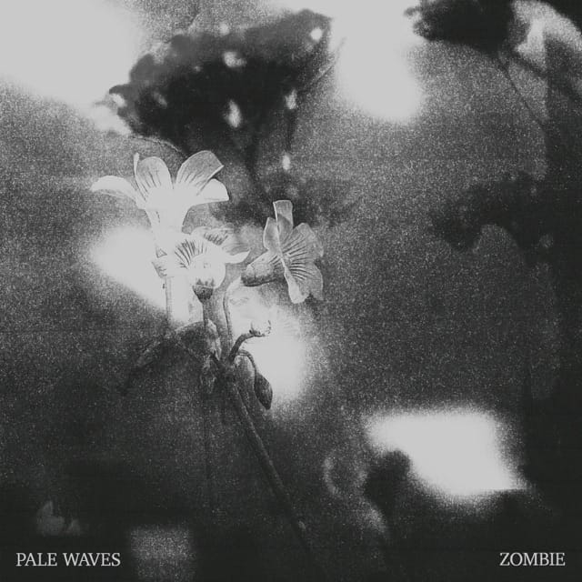 Zombie - Single
