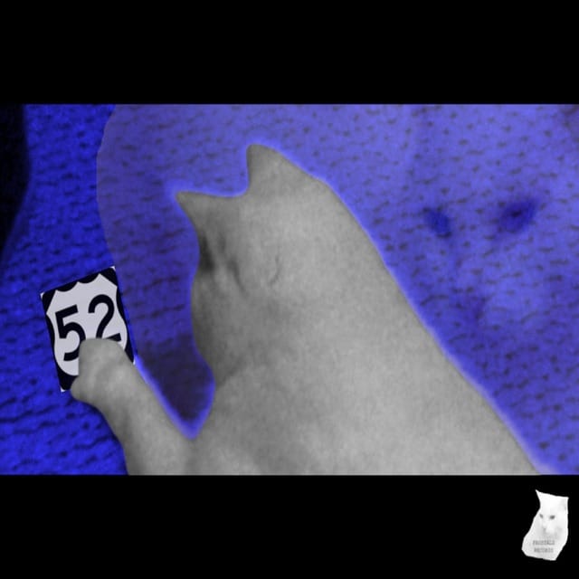 Frostbute (52 Demo Version) - Single