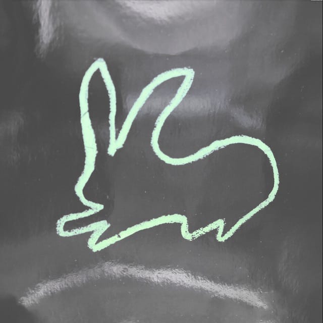 Virgin Soil - Single