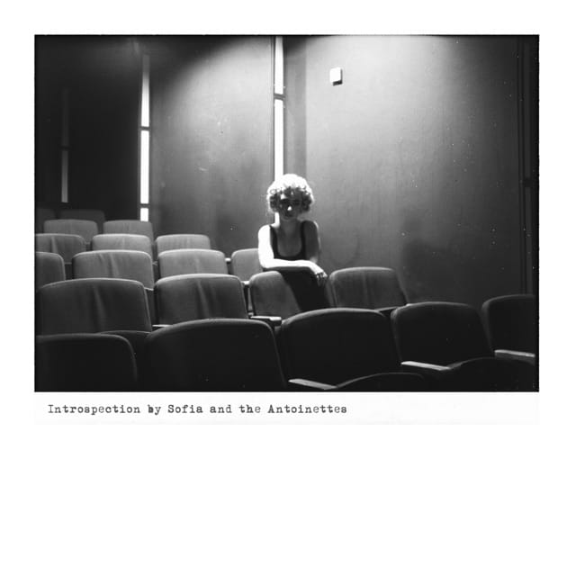 INTROSPECTION - Single