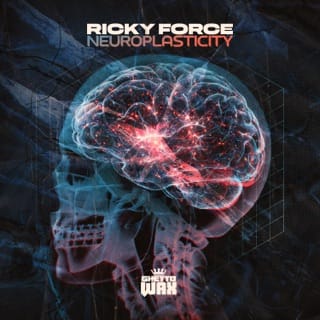 Neuroplasticity - EP