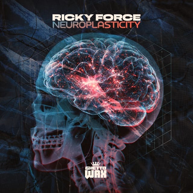 Neuroplasticity - EP