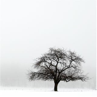 Black Country