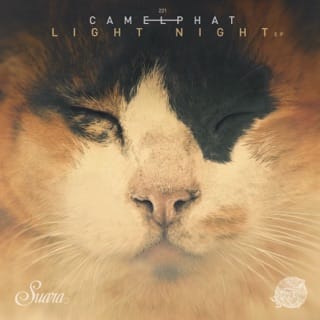 Light Night - EP