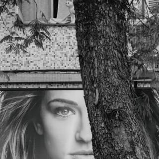 Portrait of Something